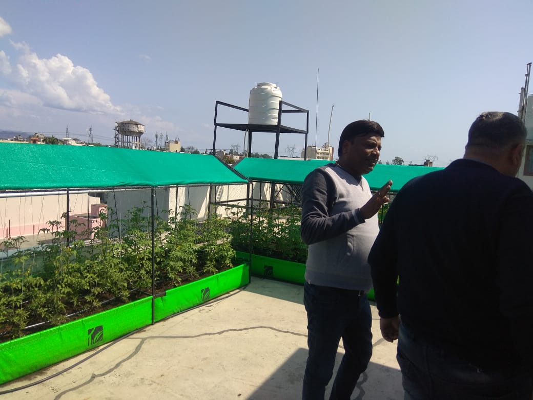 Rooftop Farming Portable System